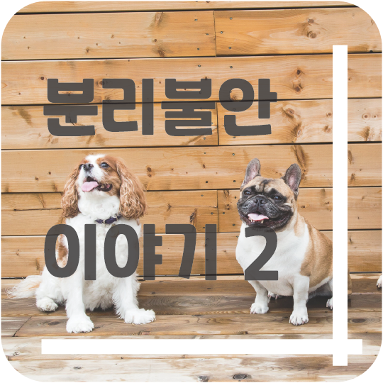  우리 아이가 분리불안?? (2)   *교정 법 이야기
