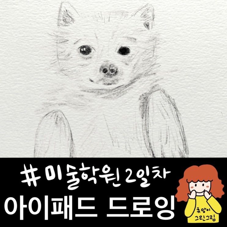  아이패드드로잉)연필 그림-강아지 그리기(feat. 미술학원 2일차 사람의 그림)
