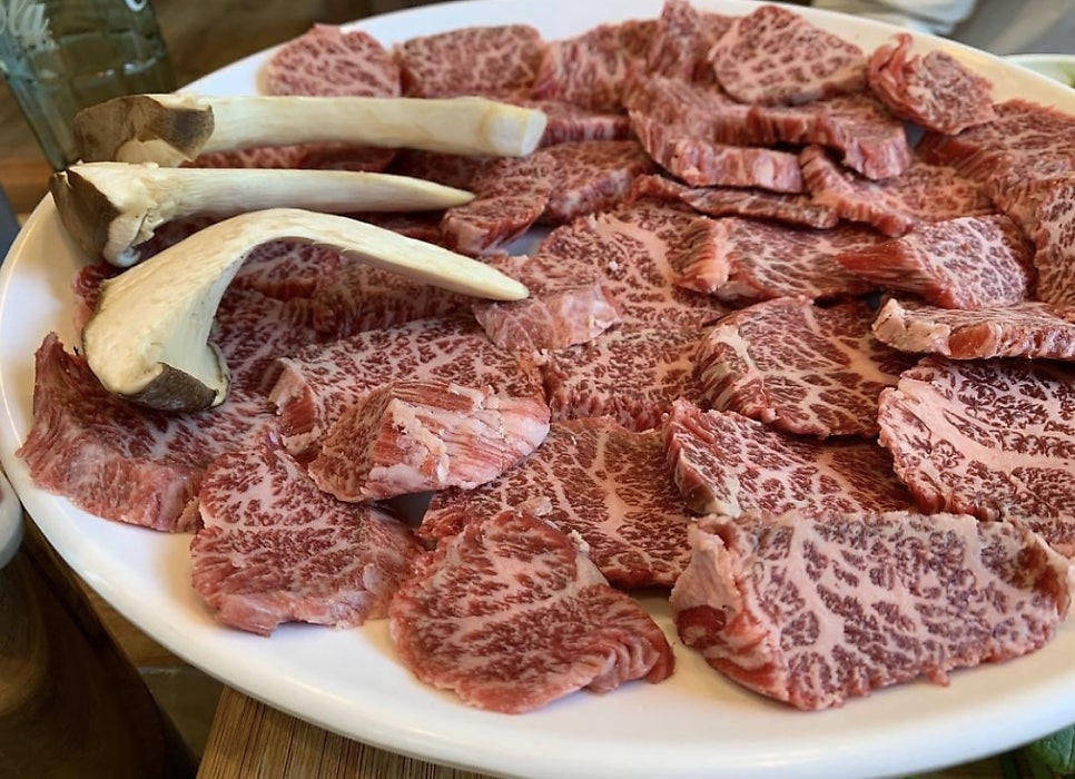 금송아지 사진 1