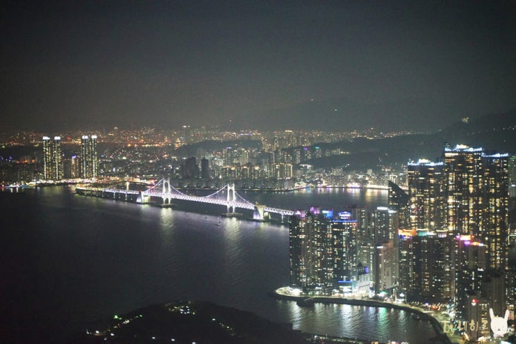부산 엑스더스카이 전망대 할인 부산 야경 명소 부산 엑스더스카이 전망대 할인 부산 야경 명소