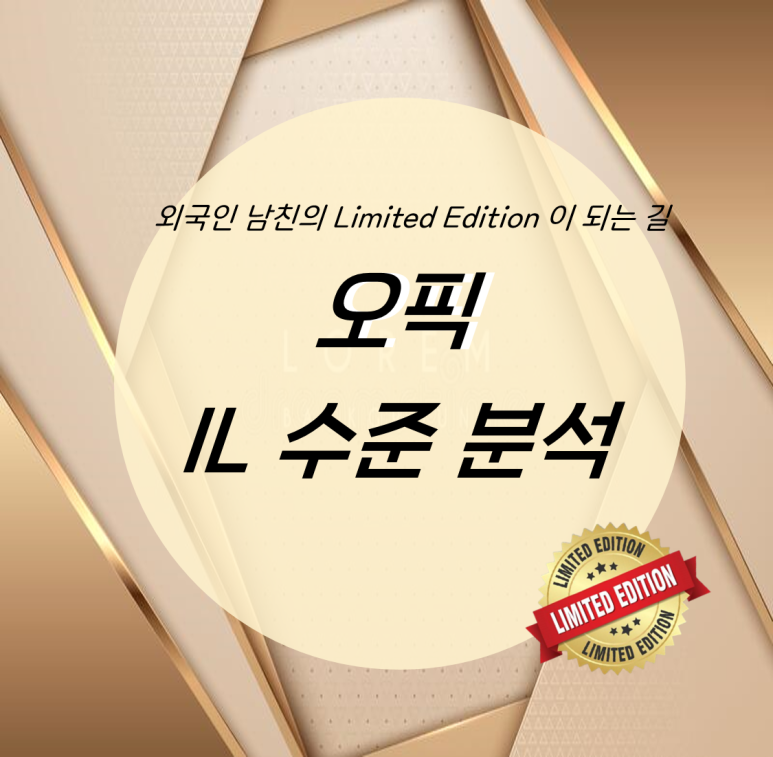 [플라잉 잉글리쉬] 오픽 등급별 수준 분석 2편. 오픽 IL 수준 분석