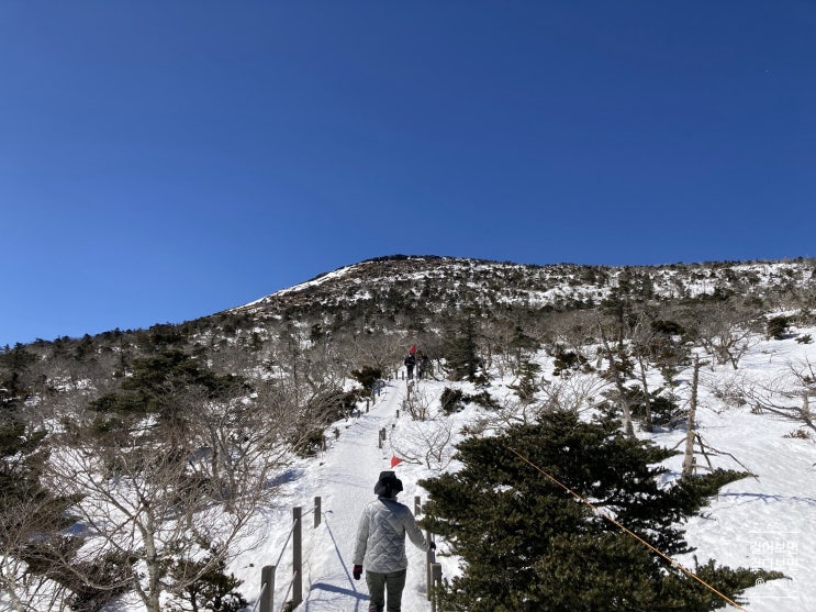  한라산, 겨울과 봄의 그 사이에서