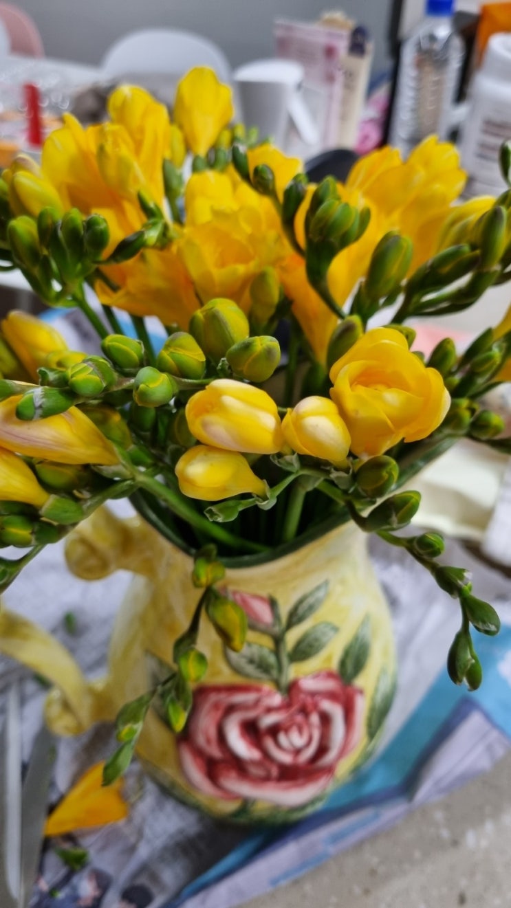 봄의 대명사 프리지아 꽃으로 기분전환하기 생화 오래 관리하는방법