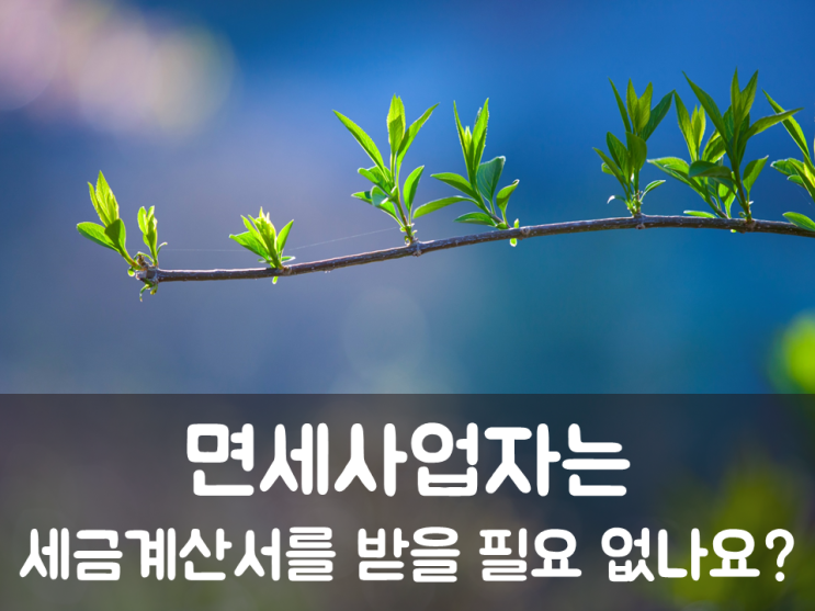 면세사업자는 세금계산서 받을 필요 없나요?