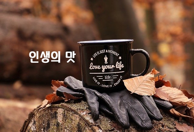  인생의 맛 - 유지나 -