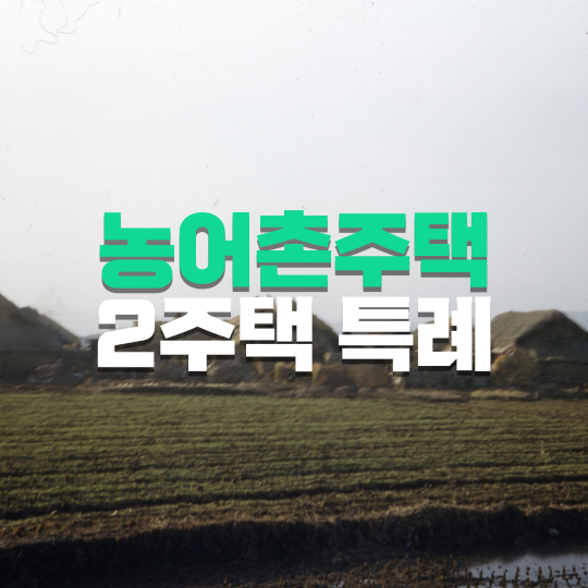  농어촌주택 취득으로 인한 2주택자 과세 특례