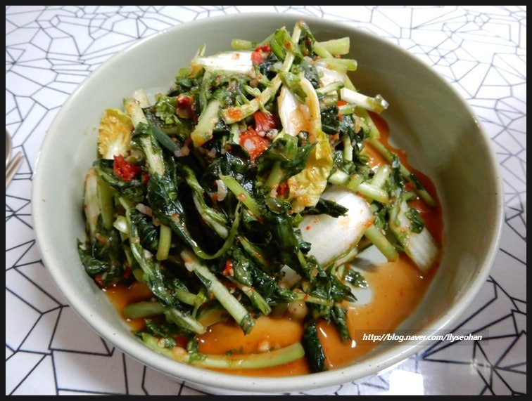 봄철 맛있게 열무얼가리김치담는법 두가지 버전 대방출