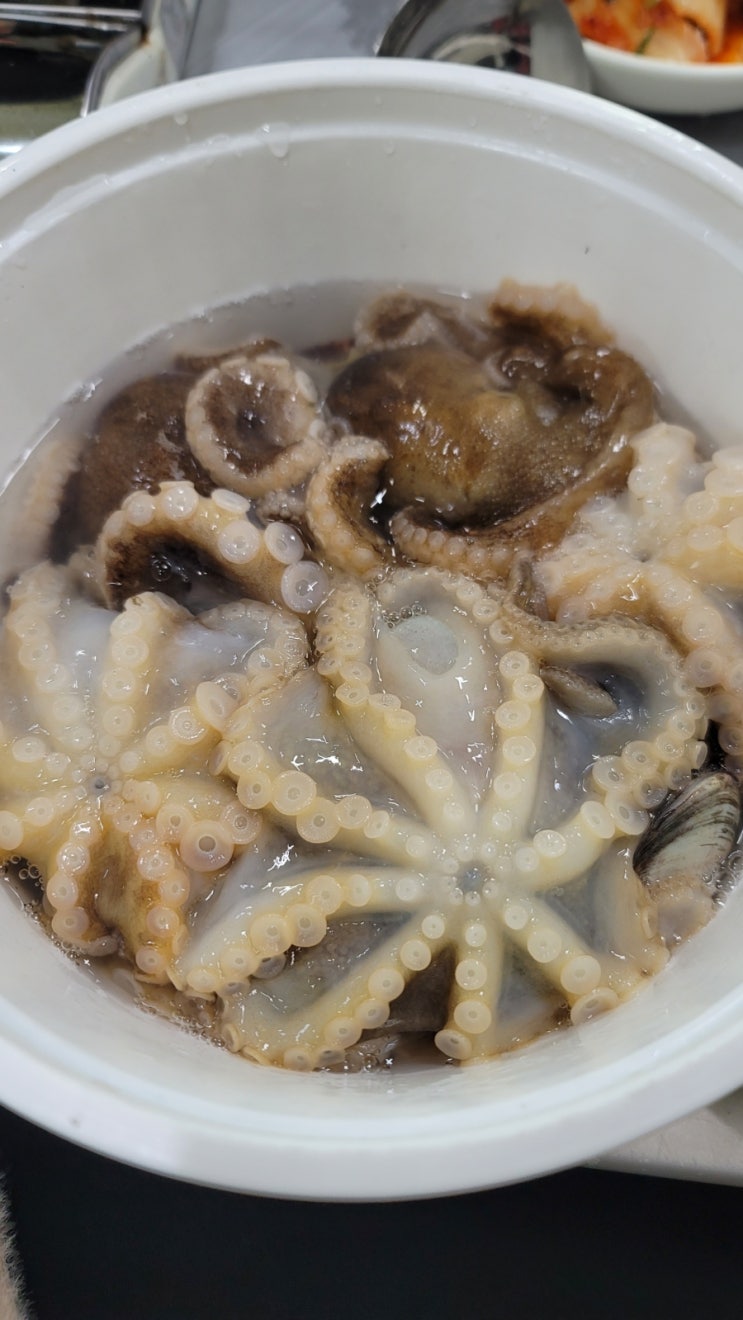  궁평항수산시장 3월 제철 쭈꾸미샤브샤브,자연산 도다리회 후기!!
