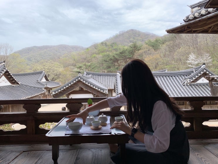 [전남/순천] 나만 알고 싶은 순천 카페 : 순천전통야생차체험관