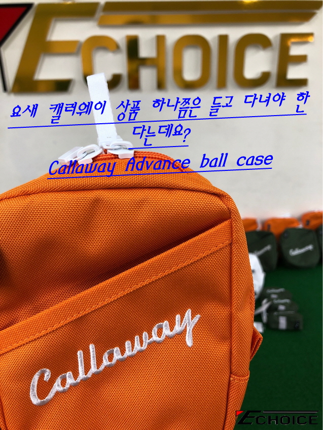  요즘 불티나게 팔린다는 캘러웨이 볼 케이스 주변 분들 다 가지고 계십니다  Callaway TR CG ADVANCE UT CASE 22 JM