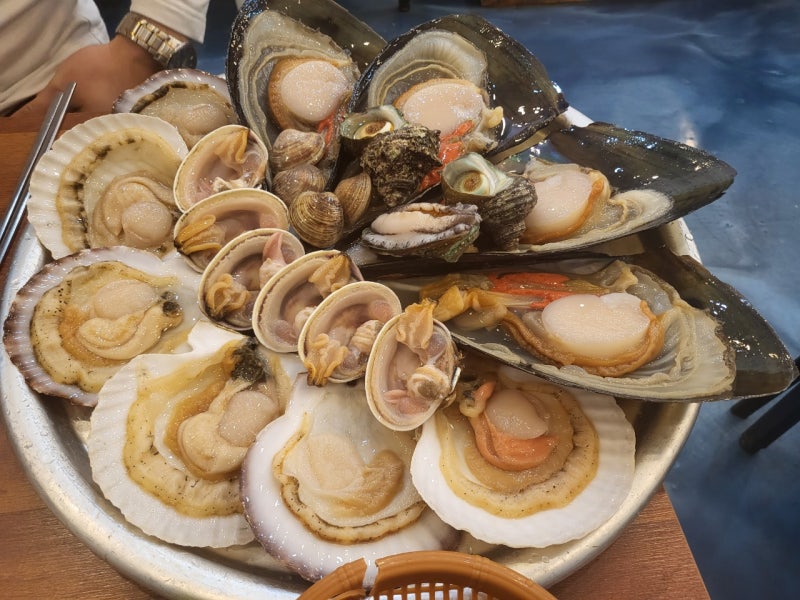 울산 성안동 회 , 조개구이 맛집 조개어판장 : 네이버 블로그