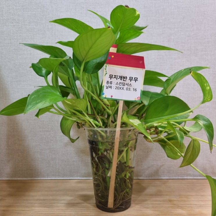  어린이집 식목일 행사에 필요한 화분 이름표 만들기 해봤어요!!