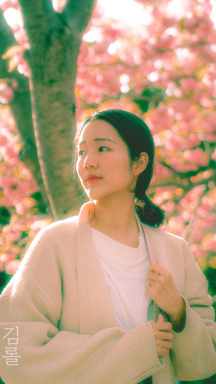  부산민주공원 봄에 가볼만한 벚꽃명소
