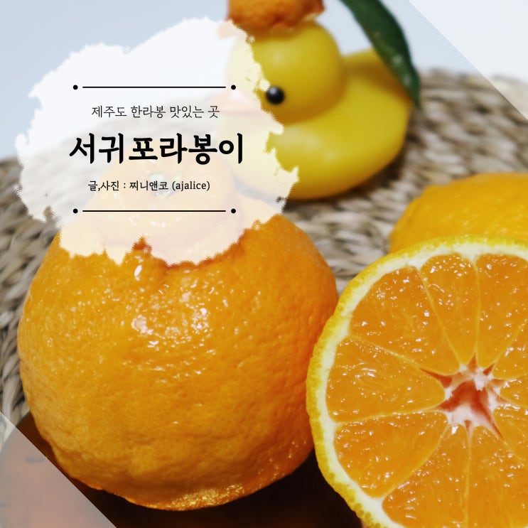 제주도 한라봉 택배 서귀포라봉이에서 주문~! 제주도 한라봉 택배 서귀포라봉이에서 주문~!