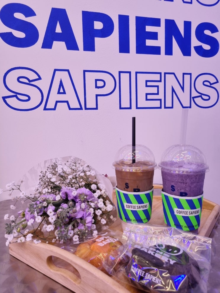  등촌동 쿠키 맛집 가양역 카페 커피사피엔스 등촌데시앙플렉스점 정말 괜찮네요