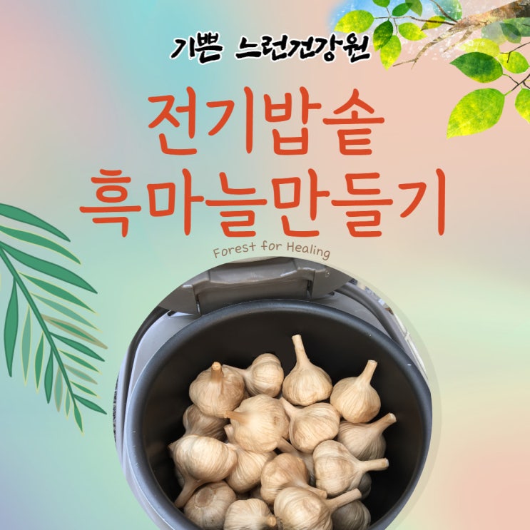  초간단 전기밥솥흑마늘 만드는법과 흑마늘즙 추천
