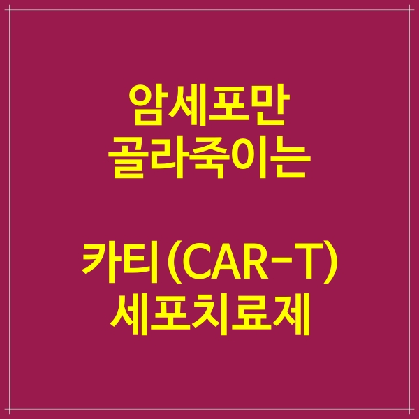  카티(CAR-T)세포치료 맞춤형 항암제,  암세포만 골라죽인다.