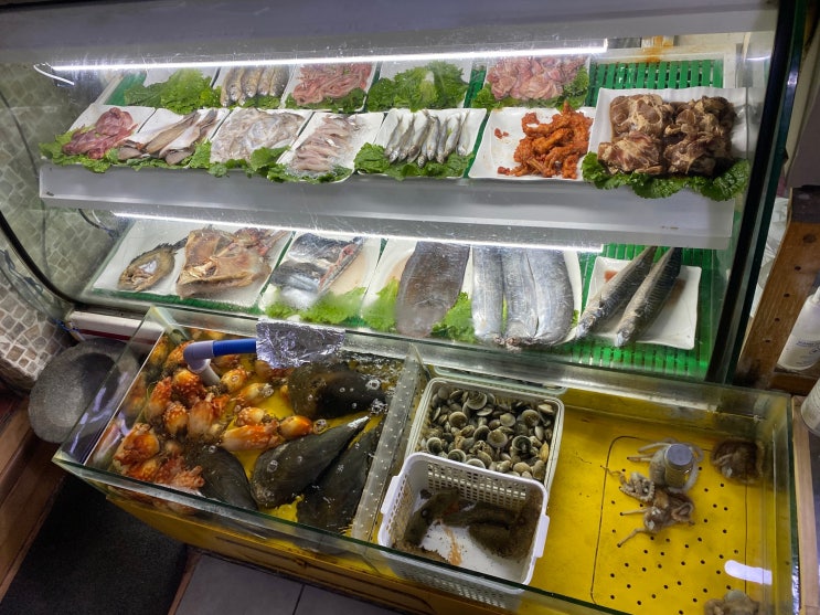  [동인천/화평동]해산물 수조가 있는 실내포장마차, 옛날장터골