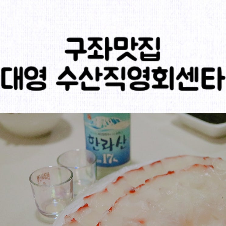  [맛집] 구좌횟집 대영 수산직영회센타 / 테이크아웃해서 즐기는 싱싱한 활어회