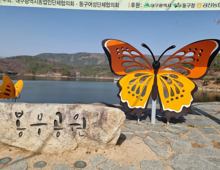  대구 봉무공원 단산지 둘레길 산책 (feat. 봉 다방)