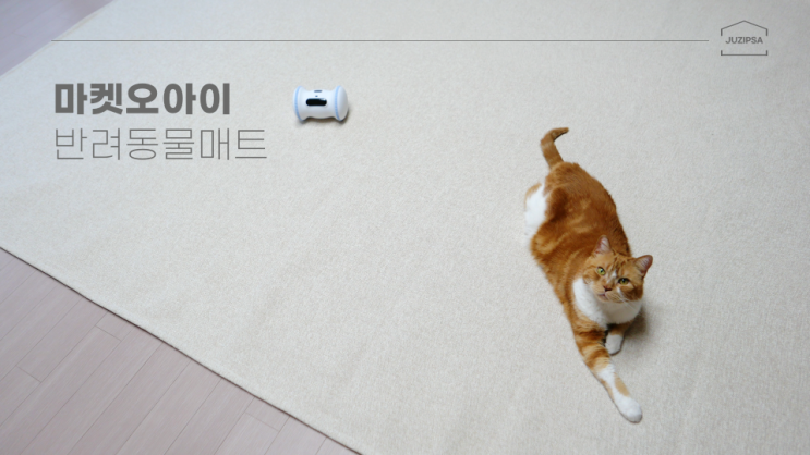  고양이 발톱 스크래쳐에도 강력했던 마켓오아이 반려동물매트