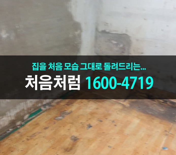  많은 쓰레기들도 당일 해결하는 강북구 가정 폐기물처리 업체의 말끔한 솜씨