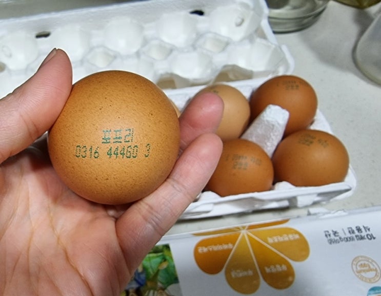  포프리 계란 포프리 두부