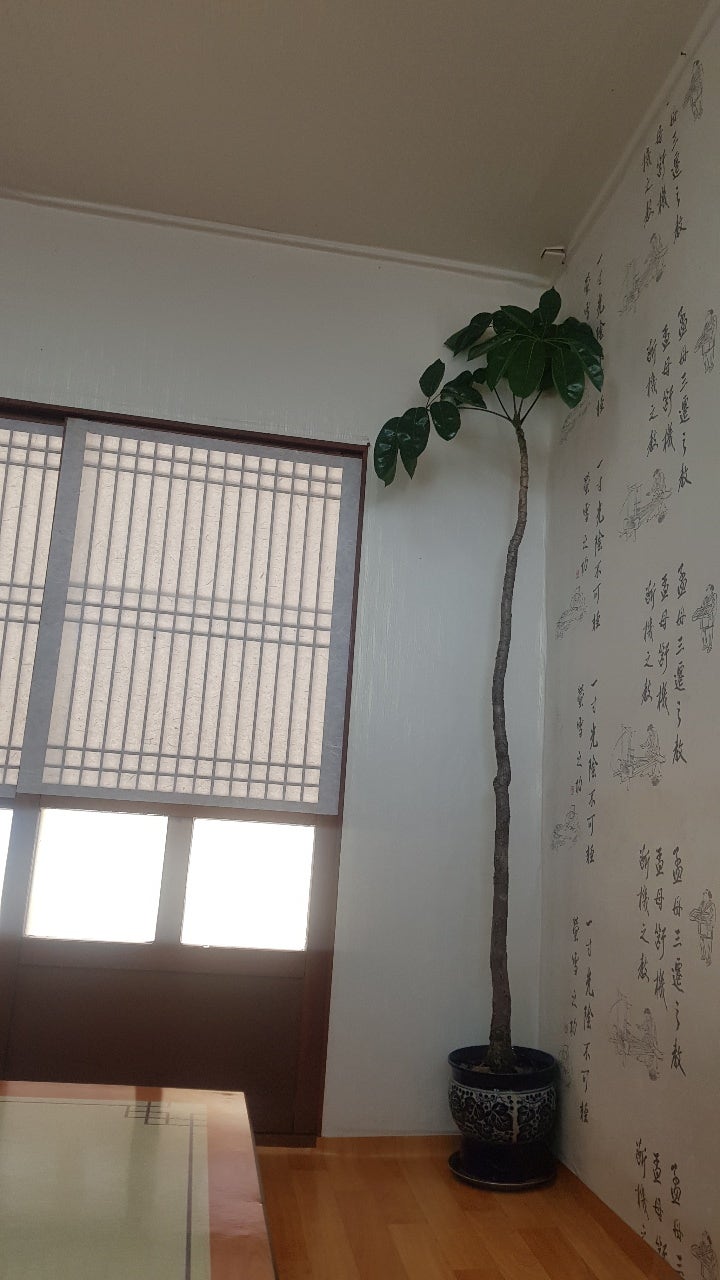 옹달샘식당 사진 4