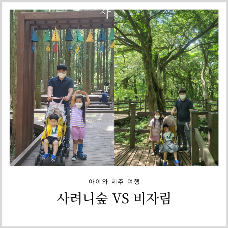 제주 사려니숲 VS 비자림 어디를 갈까 아이랑 유모차 여행 제주 사려니숲 VS 비자림 어디를 갈까 아이랑 유모차 여행