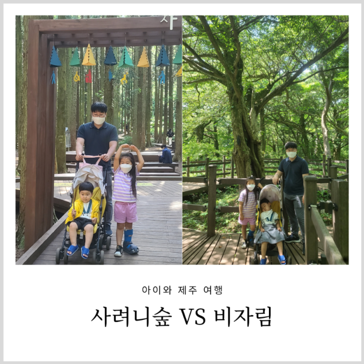 제주 사려니숲 VS 비자림 어디를 갈까 아이랑 유모차 여행