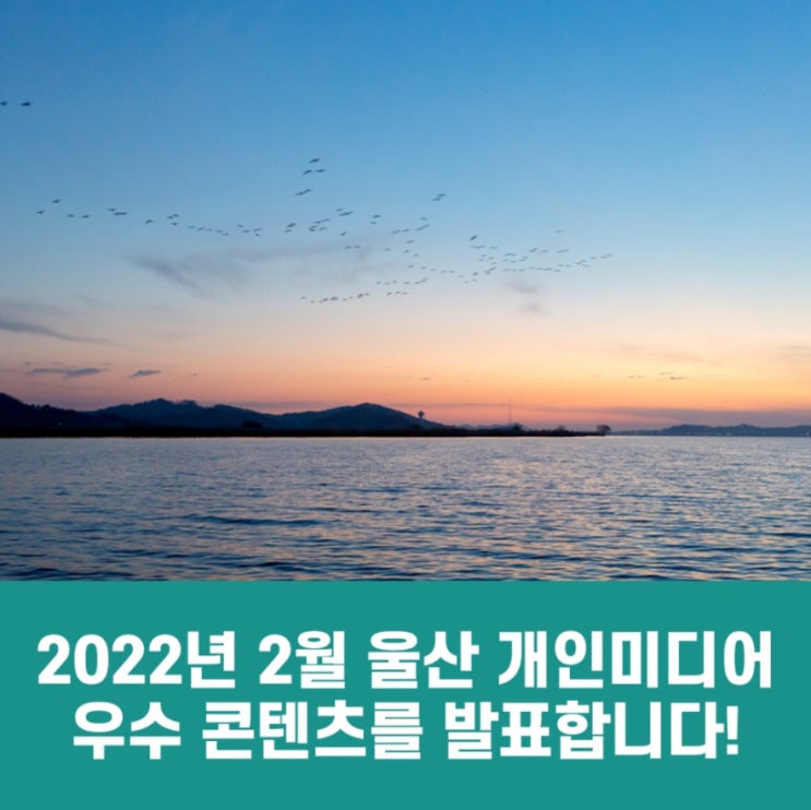  울산시 2월 개인미디어 우수콘텐츠 선정 LIST(feat.Mr Right)
