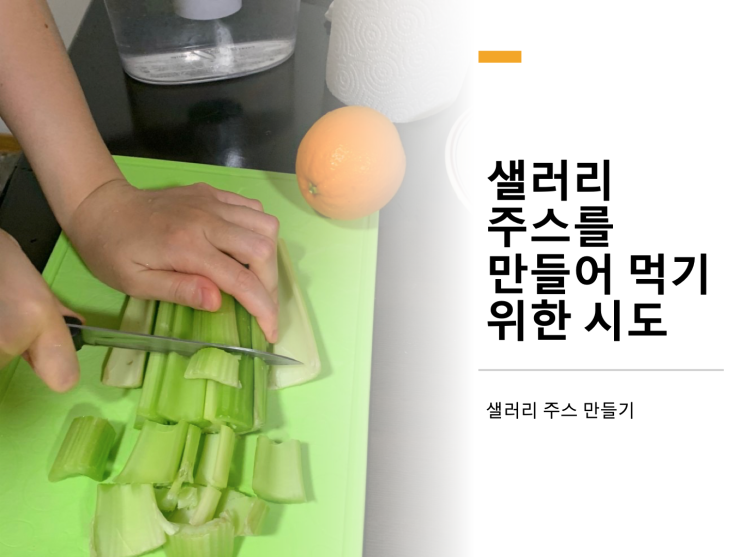 샐러리 주스 만들기 feat 귤, 오렌지, 사과 샐러리 주스 만들기 feat 귤, 오렌지, 사과
