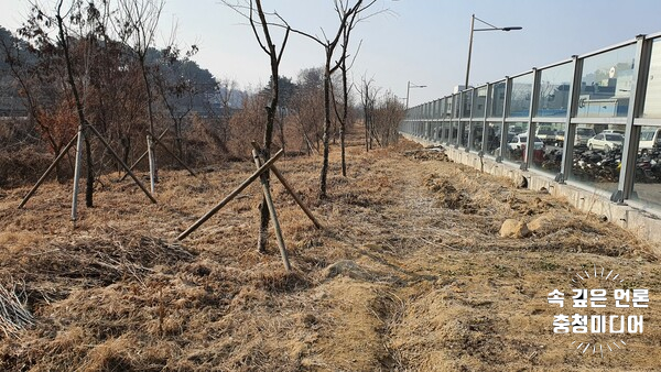 [충청미디어] 청주시, 오창과학산업단지 주변 미세먼지 차단숲 조성