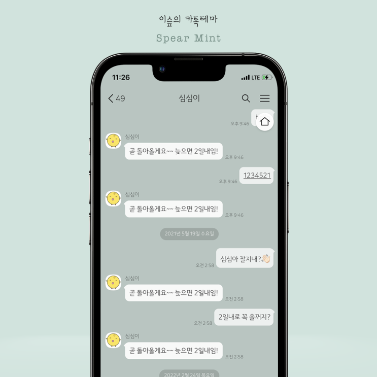  아이폰 카톡테마 스피어 민트 (Spear Mint 1.0.0 Ktheme)