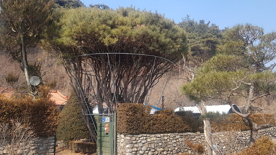 옹달샘식당 사진