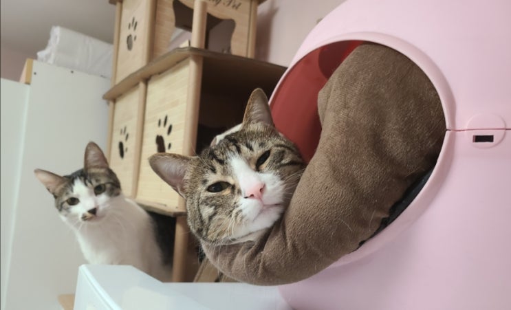  마리끌레르 3월 넷째주 별자리운세