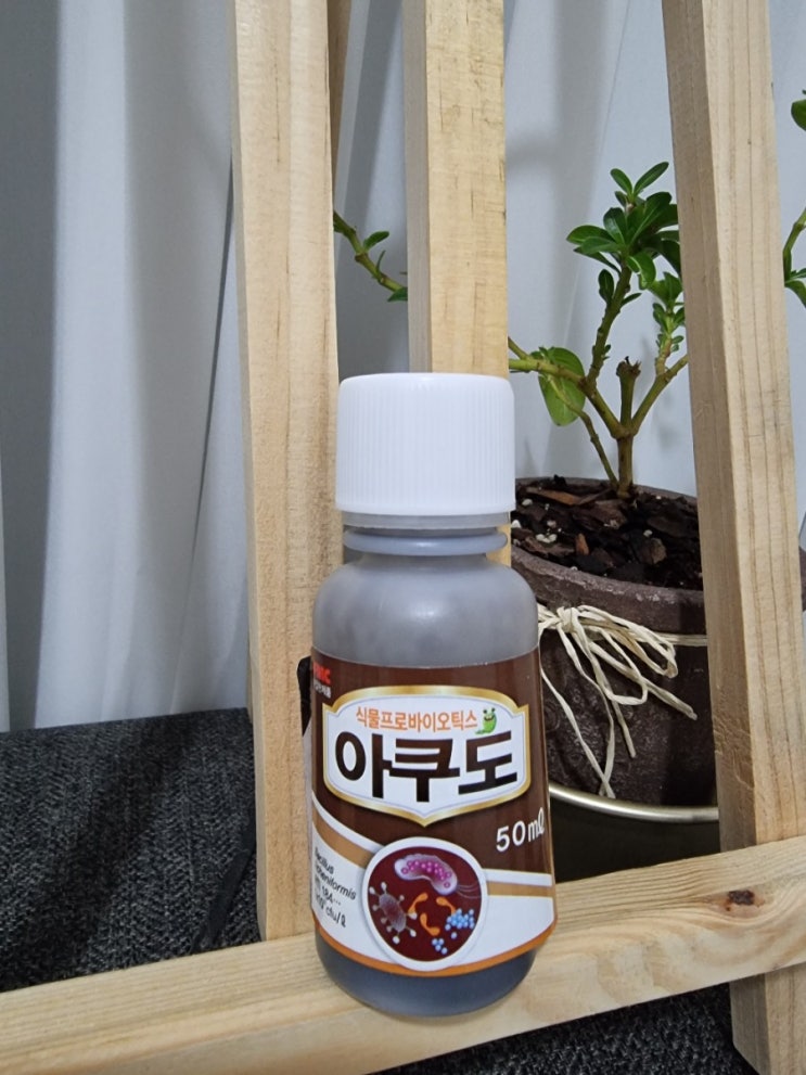  식물영양제 액체비료 아쿠도 사용 후기