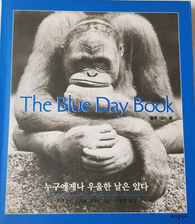  누구에게나 우울한 날은 있다 - 블루 데이 북