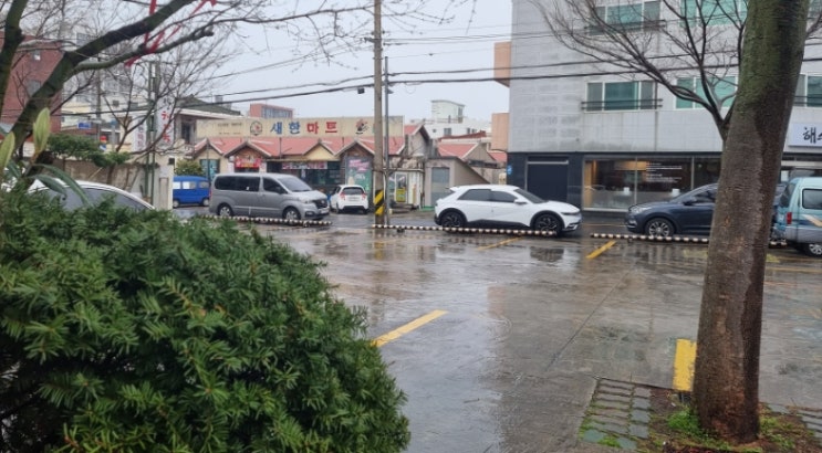  제주비오는날 따뜻한 광양 해장국 제주도해장국 맛집