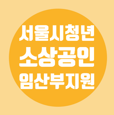 서울시/소상공인 100만원/임산부 70만원/청년/대중교통비/지원