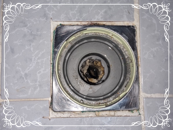 군포 금정동 화장실 누수, 아파트 천장에 물이 뚝뚝 새는 경우는?