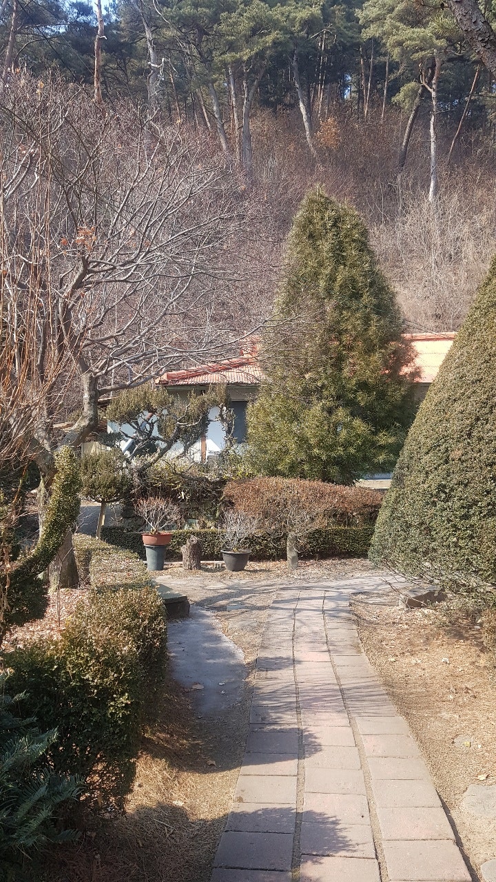 옹달샘식당 사진 3