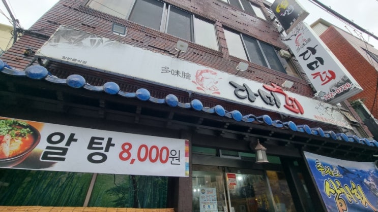  제주공항근처횟집 다미회 알탕 / 회 시청 도민맛집