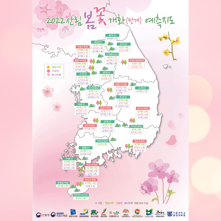  2022 벚꽃개화시기 & 봄꽃개화지도 설렘가득