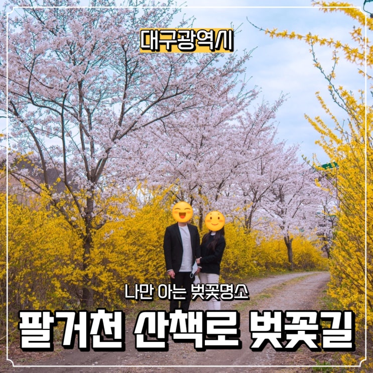  [대구광역시] 칠곡 가볼 만한 곳, 팔거천 벚꽃길