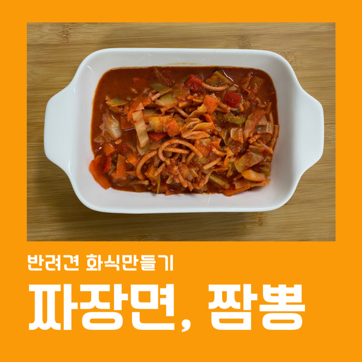  양배추, 당근, 락토프리 우유를 넣은 강아지 짜장면과 짬뽕 만들기