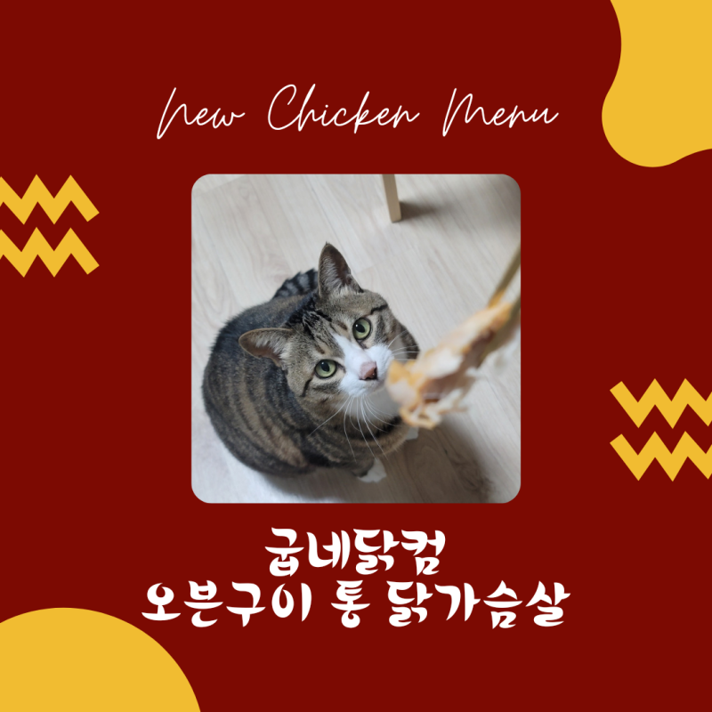 다이어트필수품 굽네닭컴 오통닭 [오븐구이통닭가슴살] 두가지맛으로 먹어봤어요