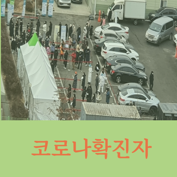  코로나확진자수