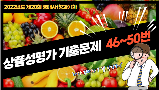  [제20회 경매사(청과) 1차 기출문제풀기] 46번부터 50번까지 풀어봅니다!