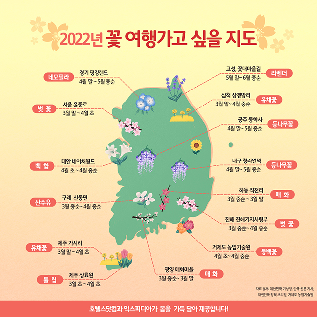 꽃 여행 가고 싶게 만드는 '전국 봄꽃 지도'… 한국인들이 뽑은 국내 벚꽃 명소는?